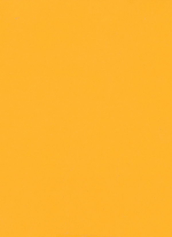 Carrot Orange