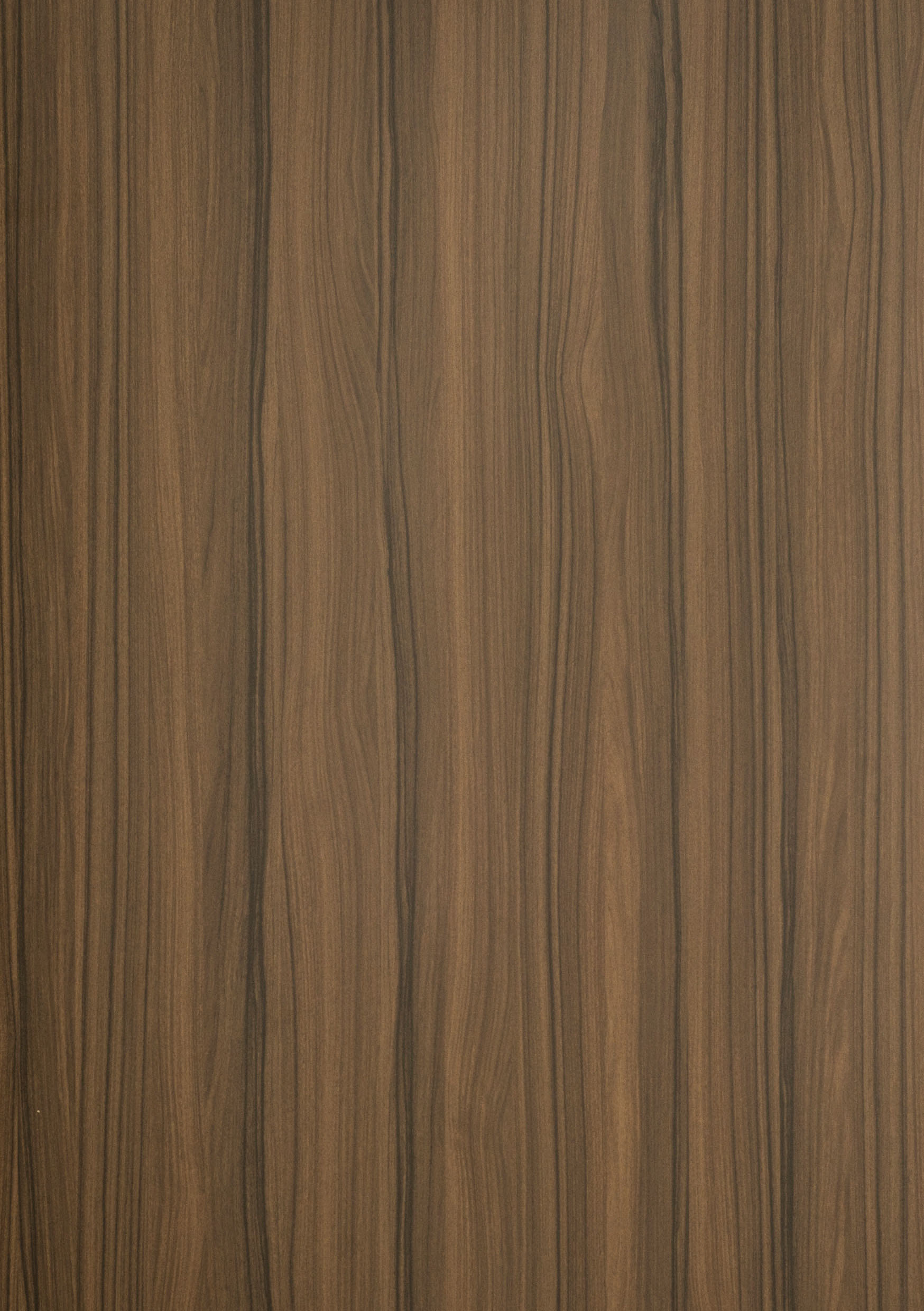 Eternal Walnut 1 Eternal Walnut