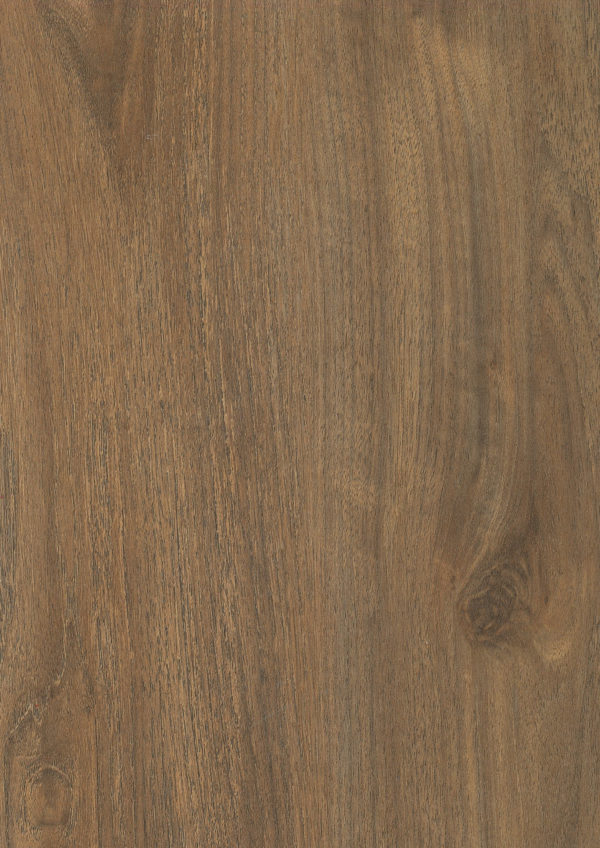 Summer Walnut