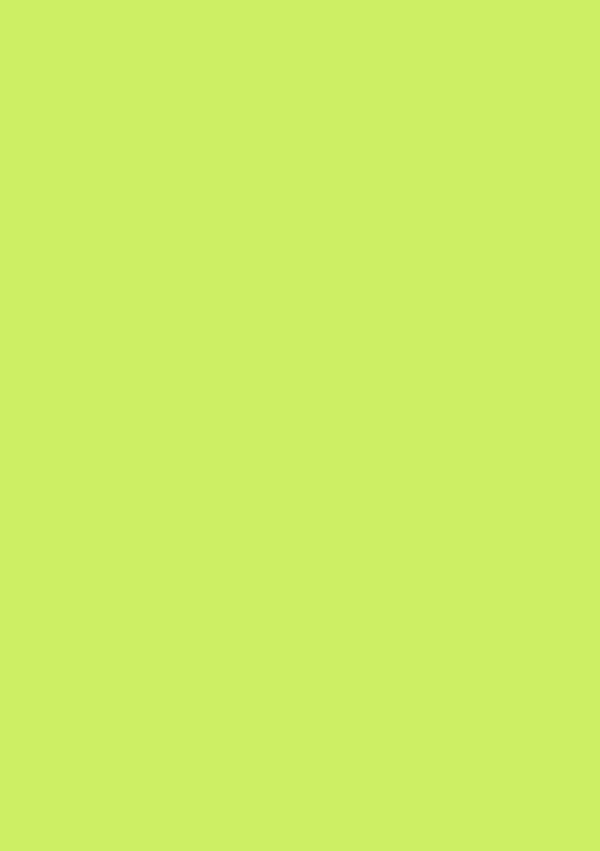 Fiesta Green