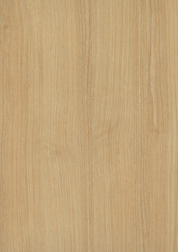 Sculpt Walnut