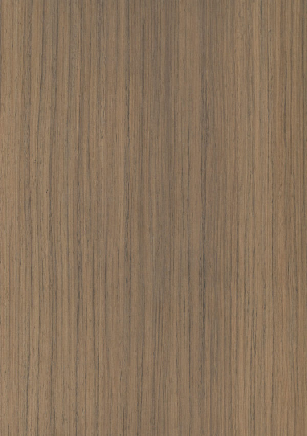 Scara Oak