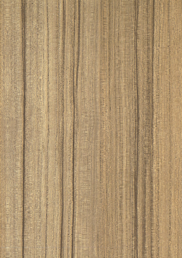 Labrador
