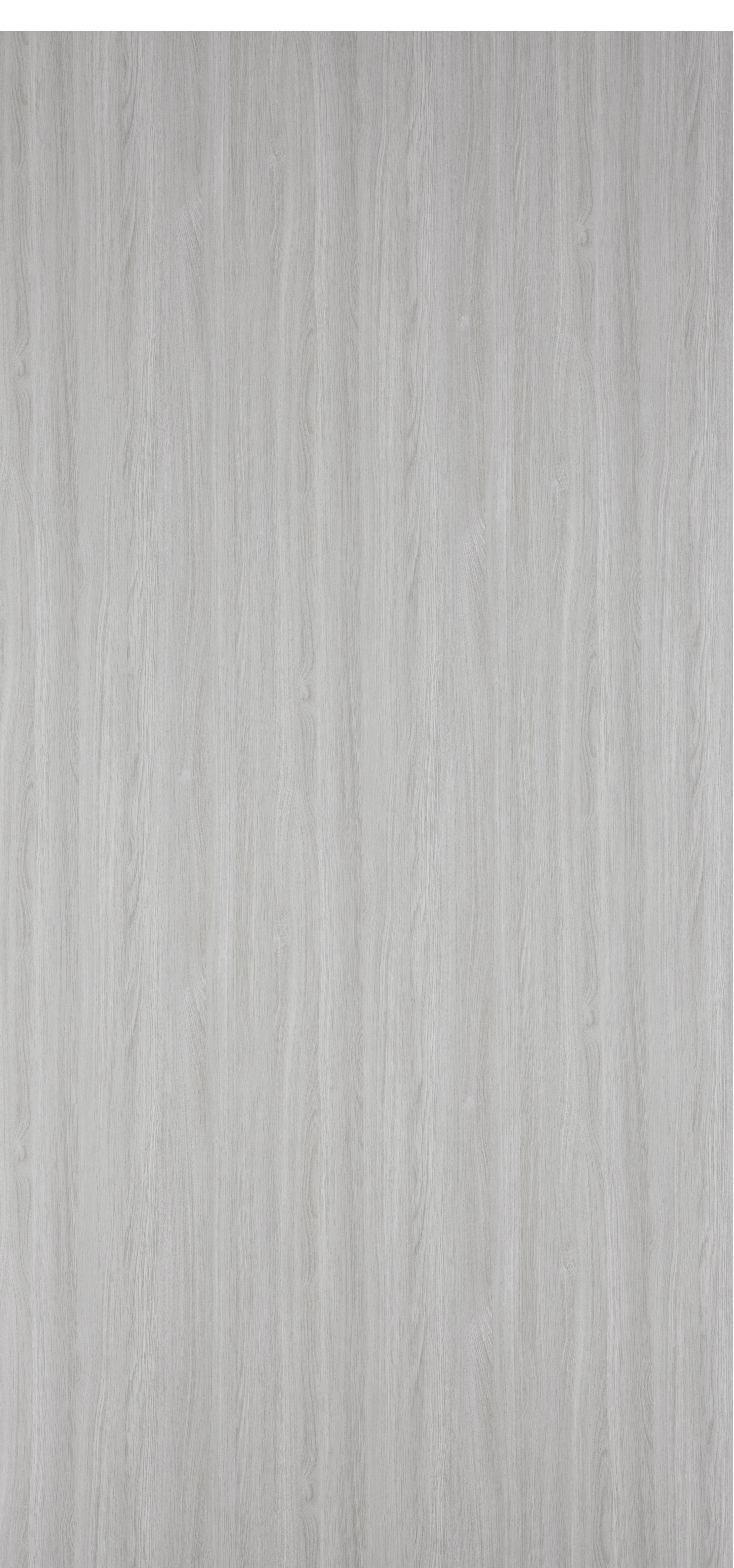 25T79 Silky Oak