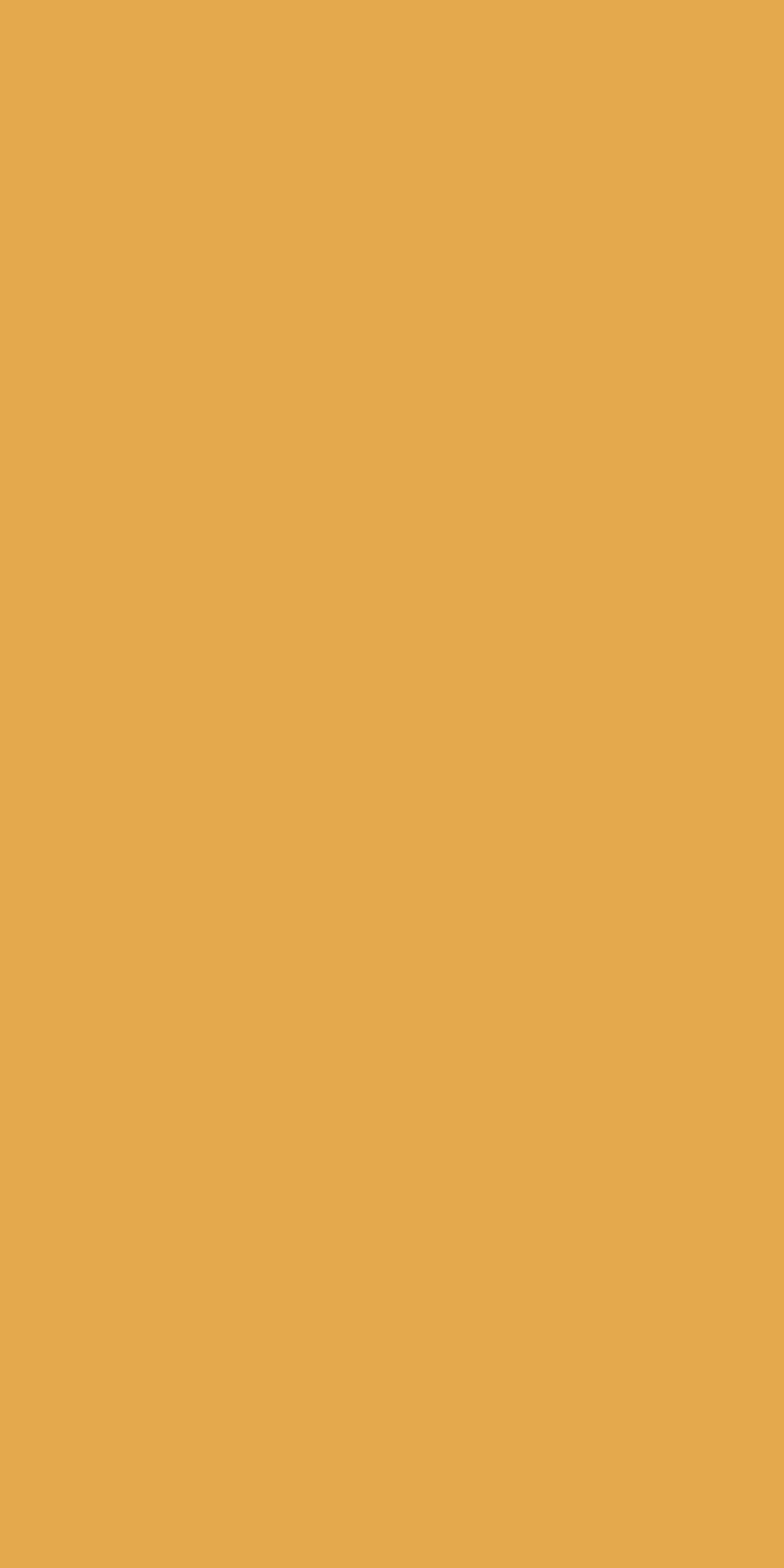 A6-902-G Sunflower