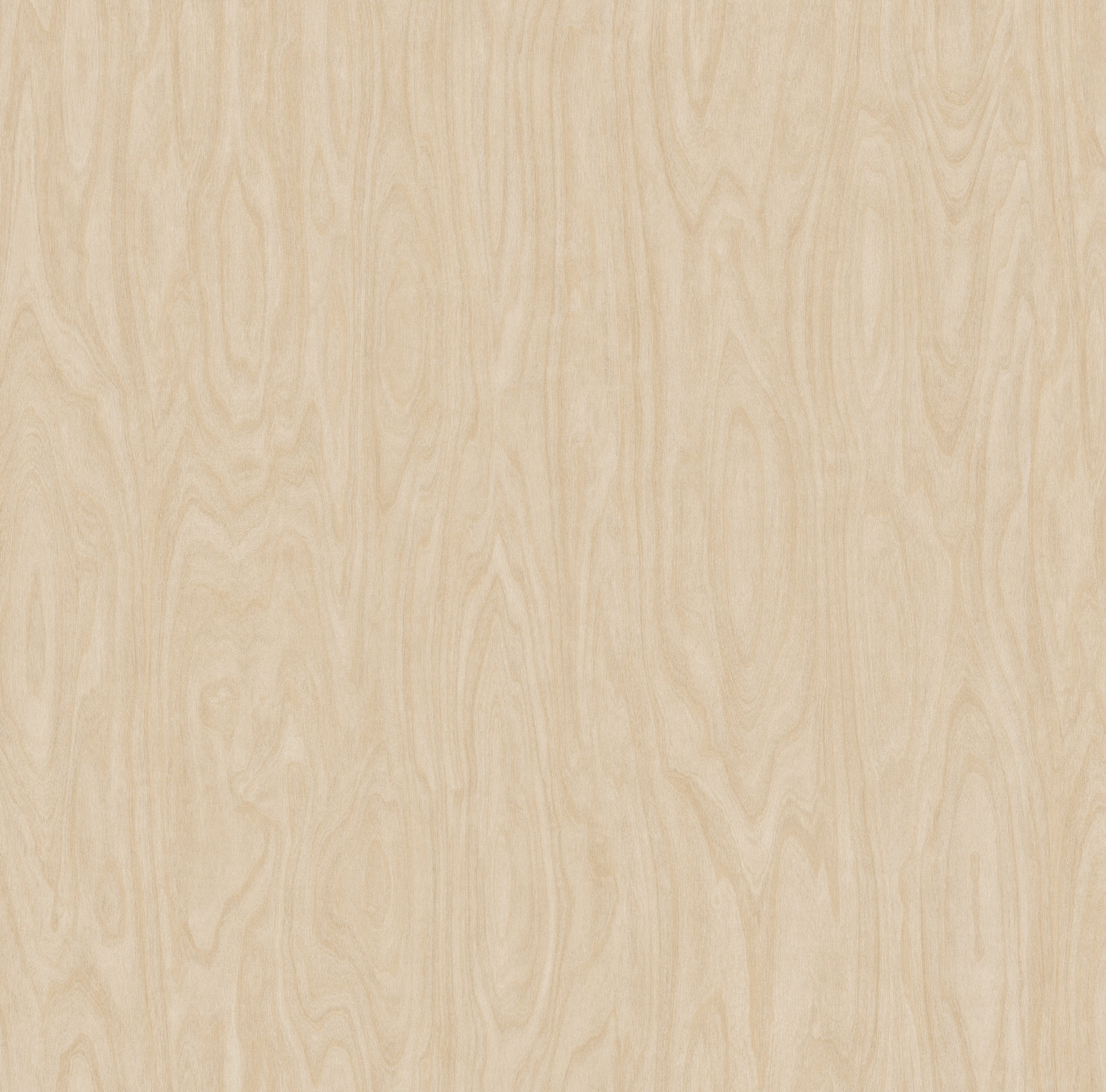 G2-890-R ACBA Birch